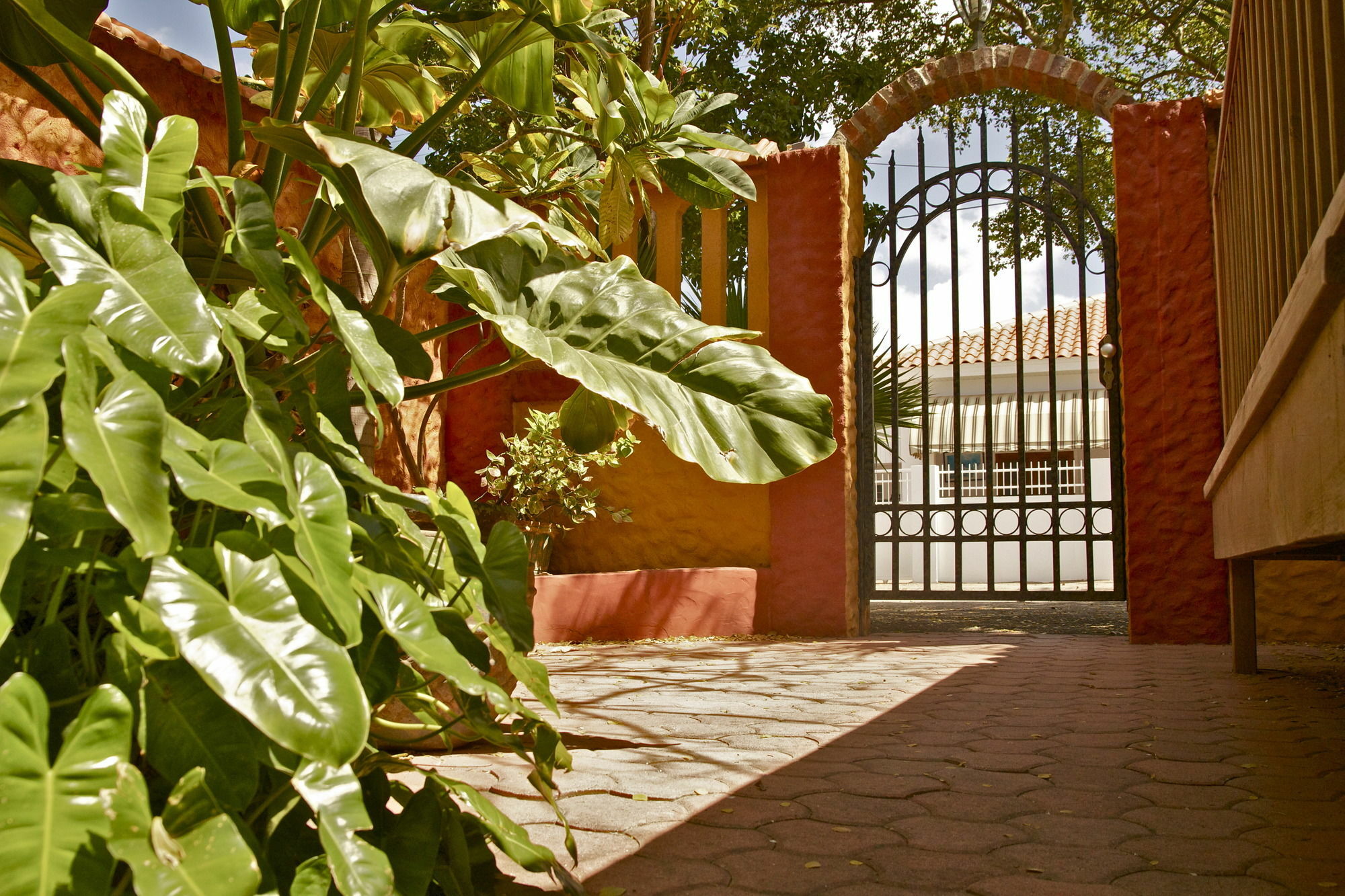 Flamboyant Garden Villas Oranjestad Eksteriør bilde